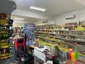 Магазины и бутики • 118 м² за 47 млн 〒 в Актау, 17-й мкр — фото 3