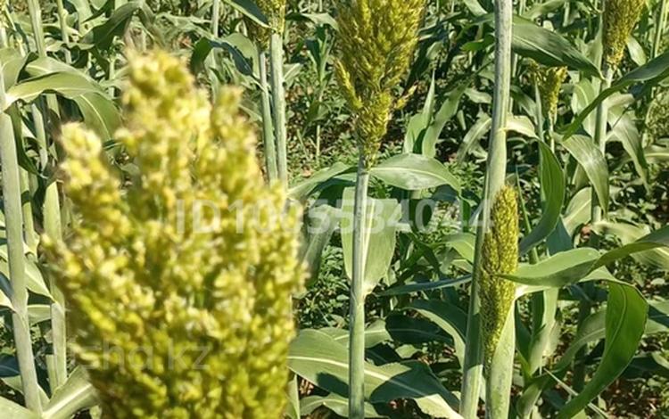 КХ 25000 гектар · 2500 м², бағасы: 300 млн 〒 в Актобе — фото 2