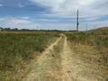 Участок · 6 соток, ПКСТ Мирас-Талгар 42 за 5.5 млн ₸ в Жаналыке — фото 6
