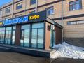 Общепит · 90 м² за 450 000 ₸ в Астане, Сарыарка р-н — фото 2