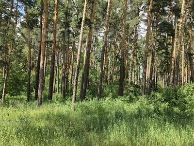 Участок · 40 соток, С. Молбаза, 3-я линия 2 за 12 млн ₸ в Бурабае