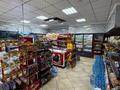 Магазины и бутики · 306 м² за 330 млн ₸ в Астане — фото 10
