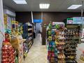 Магазины и бутики · 306 м² за 330 млн ₸ в Астане — фото 12