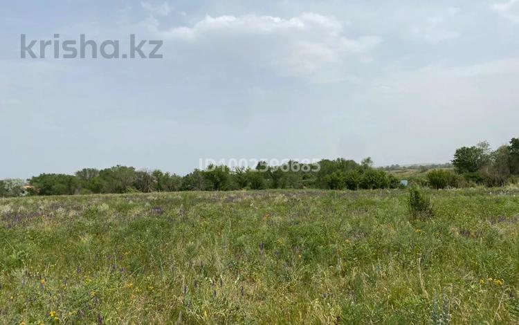 Участок · 100 соток, Бурашева за 25.5 млн ₸ в Каскелене — фото 2