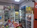 Магазины и бутики, азс, автосервисы и автомойки · 420 м² за 220 млн ₸ в Астане, Сарыарка р-н — фото 12