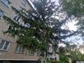 2-комнатная квартира · 46 м² · 4/5 этаж, Набережная Славского 24а за 27.6 млн ₸ в Усть-Каменогорске — фото 31