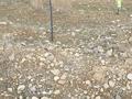 Жер телімі 8 сотық, Массив Культоган, бағасы: 1.6 млн 〒 в Таразе — фото 5