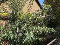 Отдельный дом · 4 комнаты · 150 м² · 6 сот., Бурабай 4 — Кобозева 4 за 38 млн 〒 в Актобе, мкр. Курмыш — фото 9