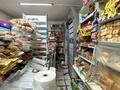 Магазины и бутики · 64 м² за 38.8 млн ₸ в Талдыкоргане, мкр Мушелтой — фото 13