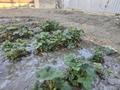 Отдельный дом · 3 комнаты · 144 м² · 8 сот., мкр Оркен, 39 12 за 32 млн ₸ в Атырау — фото 27