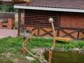 Отдельный дом · 4 комнаты · 120 м² · 11 сот., 1 Жибек жолы 2Б — Восточный район, Авторынок за 68 млн ₸ в Семее — фото 9
