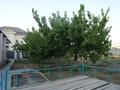 Жеке үй · 6 бөлме · 180 м² · 14 жүзд., мкр Северо-Запад 1222, бағасы: 110 млн ₸ в Шымкенте, Абайский р-н — фото 65
