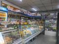 Свободное назначение, магазины и бутики, общепит • 300 м² за 60 млн 〒 в Боралдае (Бурундай) — фото 7