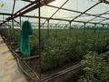 Өнеркәсіптік база · 2.2 га, ЖМ Мартобе, Жанартау 130 а, бағасы: 300 млн ₸ в Шымкенте, Каратауский р-н