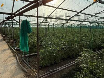 Өнеркәсіптік база · 2.2 га, ЖМ Мартобе, Жанартау 130 а, бағасы: 300 млн ₸ в Шымкенте, Каратауский р-н