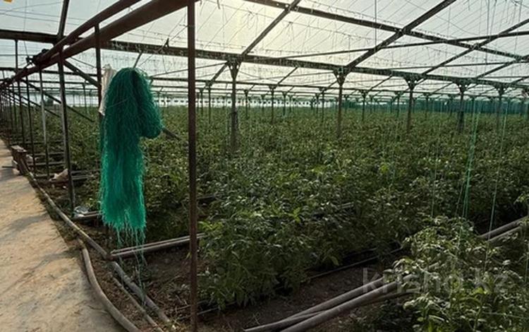 Өнеркәсіптік база · 2.2 га, ЖМ Мартобе, Жанартау 130 а, бағасы: 300 млн ₸ в Шымкенте, Каратауский р-н — фото 3