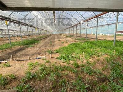 Готовый бизнес. Выращивание овощных культур · 6500 м², бағасы: 270 млн ₸ в Юбилейное