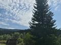 Отдельный дом · 1 комната · 30 м² · 25 сот., Солнечная за 7 млн ₸ в Топихе — фото 5