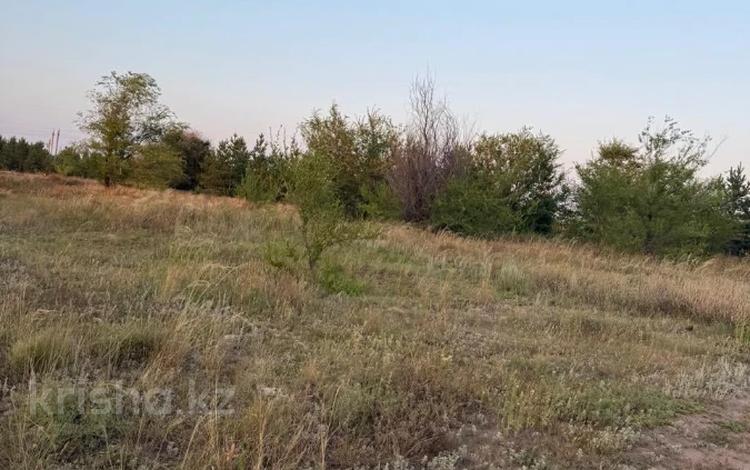 Участок · 10.5 соток, Тр, Костанай-Аулиеколь-Сурган 586 за 11 млн ₸ в Мичуринское — фото 2