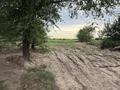 Участок · 6.5 соток, Черёмушки за 15 млн ₸ в Бельбулаке (Мичурино) — фото 2