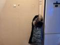 2-комнатная квартира · 46 м² · 1/5 этаж, 50 лет Октября 80 — Универсам, Бак-бак за 110 000 〒 в Рудном — фото 7