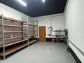 Жеке үй · 7 бөлме · 250 м² · 10 жүзд., ул Е 626 7, бағасы: 1.2 млн ₸ в Астане, Нура р-н — фото 20