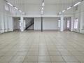 Еркін · 900 м², бағасы: 850 млн ₸ в Кызыл ту-4 — фото 7
