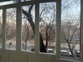 2-бөлмелі пәтер · 43 м² · 3/5 қабат, Жибек жолы — Сейфуллина, бағасы: 41.9 млн ₸ в Алматы — фото 5