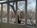 2-бөлмелі пәтер · 43 м² · 3/5 қабат, Жибек жолы — Сейфуллина, бағасы: 39.5 млн ₸ в Алматы — фото 11