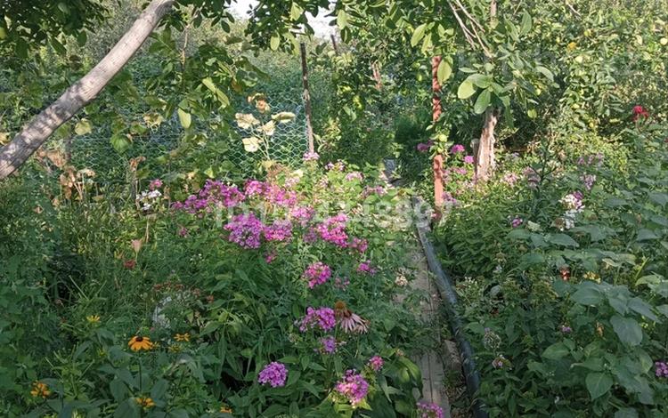 Саяжай · 3 бөлме · 100 м² · 8 жүзд., Томарлы ш/а., Связист — С/О Связист, бағасы: 20 млн ₸ в Атырау, мкр Томарлы — фото 9