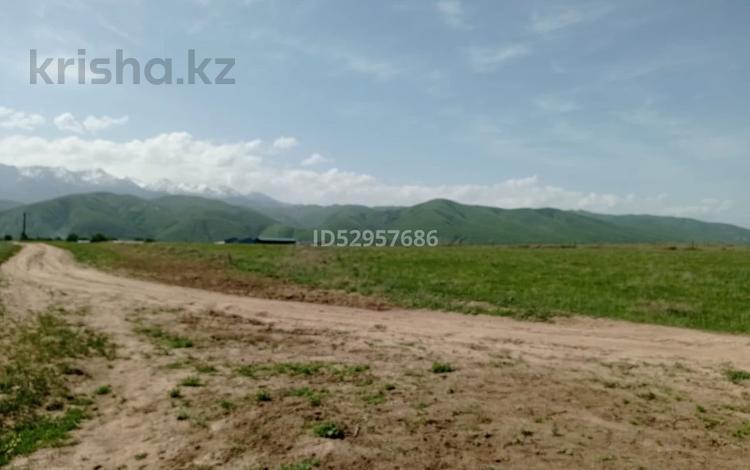 Участок · 230 соток, Долан за 80 млн 〒 — фото 6