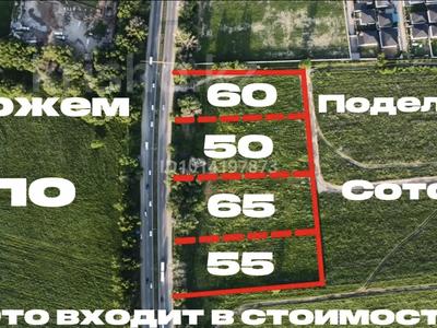Участок · 65 соток, Алматы Бишкек за 227.5 млн ₸ в Каскелене