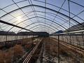 Участок · 30 соток, Береке (Память Ильича) — Недалеко от Урал за 40 млн ₸ в Атырау — фото 33