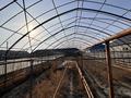 Участок · 30 соток, Береке (Память Ильича) — Недалеко от Урал за 40 млн ₸ в Атырау — фото 35
