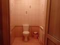 Отдельный дом · 4 комнаты · 170.5 м² · 5.5 сот., Ленина за 43 млн ₸ в Затобольске (Тобыле) — фото 13