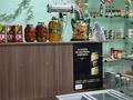 Магазин с торговым оборудованием · 100 м², бағасы: 22 млн 〒 в Бадамше — фото 8