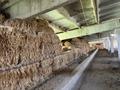 Склады, сельское хозяйство · 1300 м² за 100 млн ₸ в Сарыагаш — фото 6