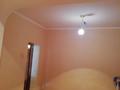 Жеке үй · 5 бөлме · 45.5 м² · 24 жүзд., Абая 45, бағасы: 50 млн ₸ в  — фото 30