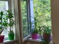 1-комнатная квартира · 30 м² · 2/4 этаж, мкр Кокжиек 58а за 150 000 ₸ в Алматы, Жетысуский р-н — фото 9