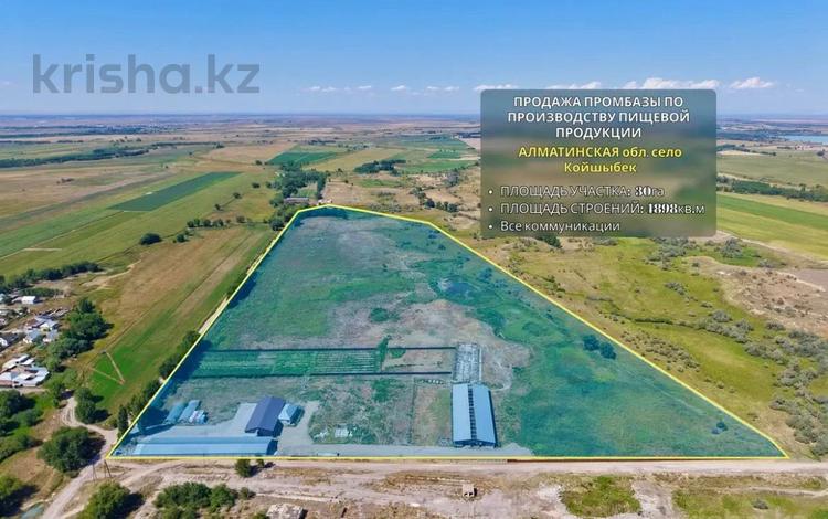 Завод · 30 га, Койшибек батыра за 600 млн ₸ в Койшыбеке — фото 46
