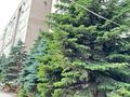 5-бөлмелі пәтер · 204 м² · 2/9 қабат, Абилкаир хана 61в, бағасы: 400 000 ₸ в Актобе — фото 3