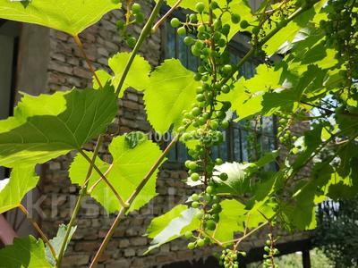 Дача · 4 комнаты · 73.6 м² · 13 сот., Главная улица 1/74 за ~ 28 млн 〒 в СТ Монтажник