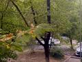 3-бөлмелі пәтер · 58 м² · 2/4 қабат, №1 ш/а. 41а — Family Park, бағасы: 50.5 млн ₸ в Алматы, Ауэзовский р-н — фото 37