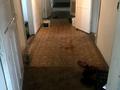 Часть дома · 6 комнат · 240 м² · 15 сот., Котовского 10 кв 1 — Жд вокзал ст. Боровое за 7 млн ₸ в Щучинске — фото 4