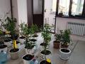 3-бөлмелі пәтер · 80 м² · 3 қабат, Таусамалы ш/а., Акбата 20 — Кунаева, бағасы: 45 млн ₸ в Алматы, Наурызбайский р-н — фото 9