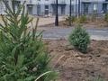 1-бөлмелі пәтер · 50.9 м² · 3/5 қабат, Морозова, бағасы: ~ 25.5 млн ₸ в Семее — фото 4