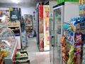 Магазины и бутики · 100 м² за 110 млн ₸ в Алматы, Наурызбайский р-н — фото 13