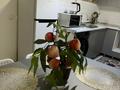 1-комнатная квартира · 54 м² · 7/9 этаж, мкр Нурсая — Рядом Ярмарка, Фок за 2 500 ₸ в Атырау — фото 3