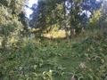 Участок · 60 соток, мкр Сулусай за 19.7 млн ₸ в Алматы, Медеуский р-н — фото 21