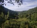 Участок · 60 соток, мкр Сулусай за 19.7 млн ₸ в Алматы, Медеуский р-н — фото 22